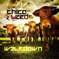 Chico Seeds album artwork